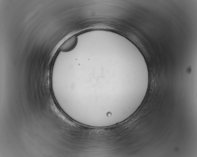 X0000115541092200911271404