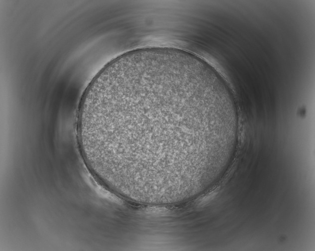 X0000115541094200911271404