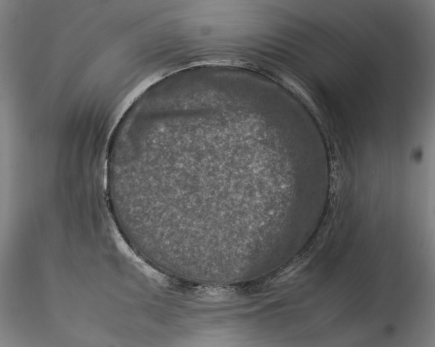 X0000115541095200911271404