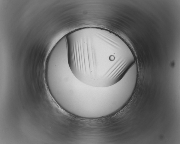 X0000115541096200911271404