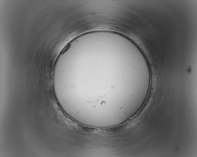 X0000115541097200911271404