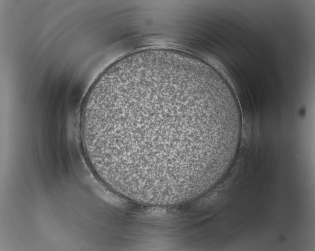 X0000115541098200911271404