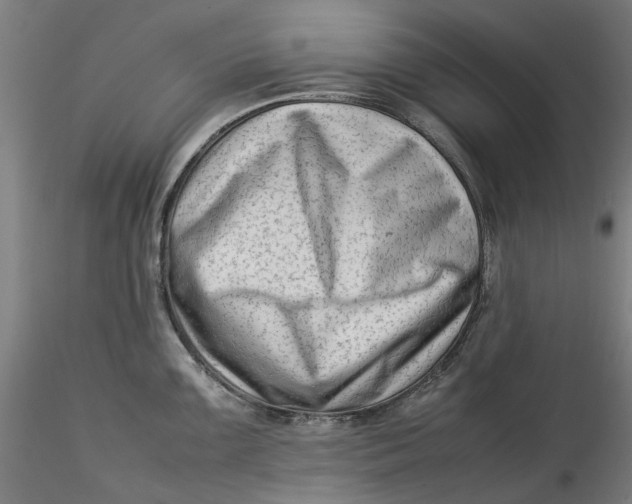 X0000115541099200911271404