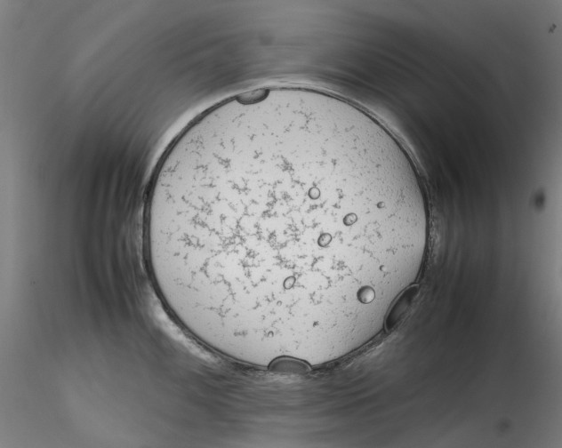 X0000115541100200911271404