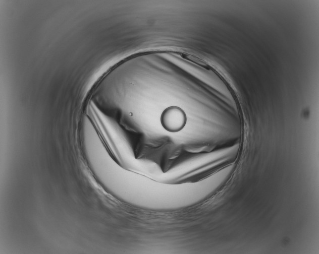 X0000115541101200911271404