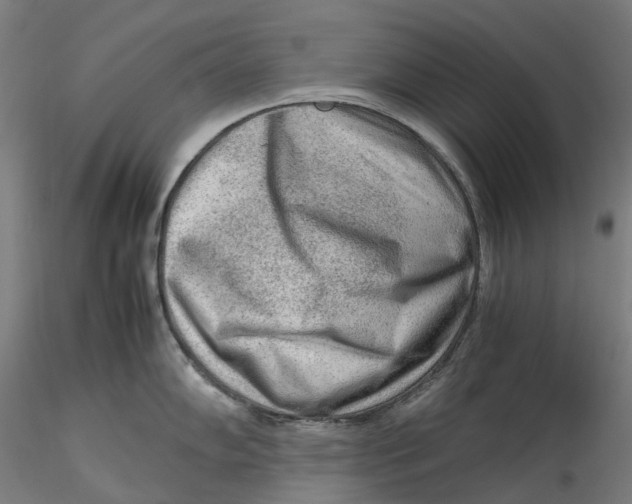 X0000115541102200911271404