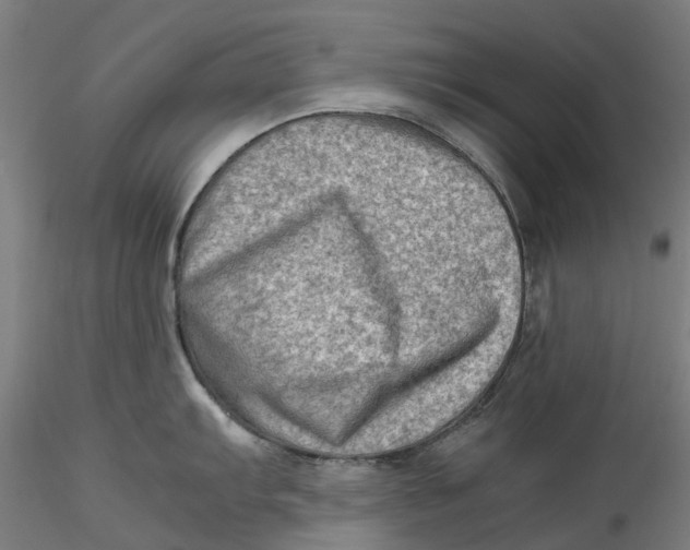 X0000115541103200911271404