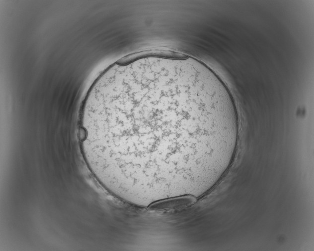 X0000115541104200911271404