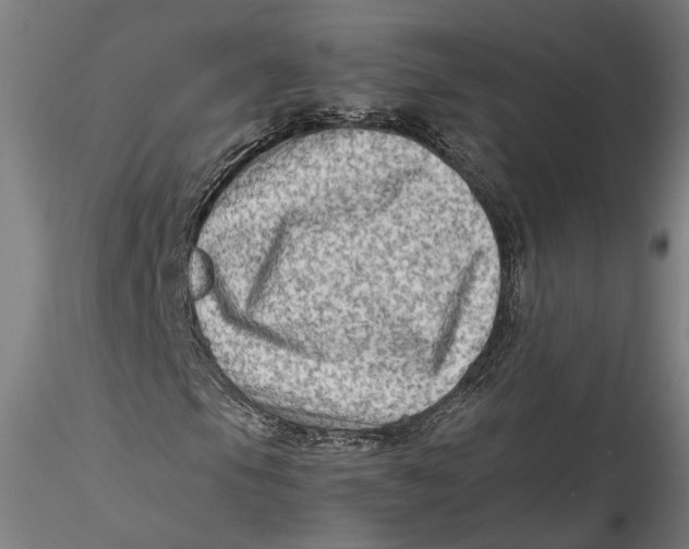 X0000115541105200911271403