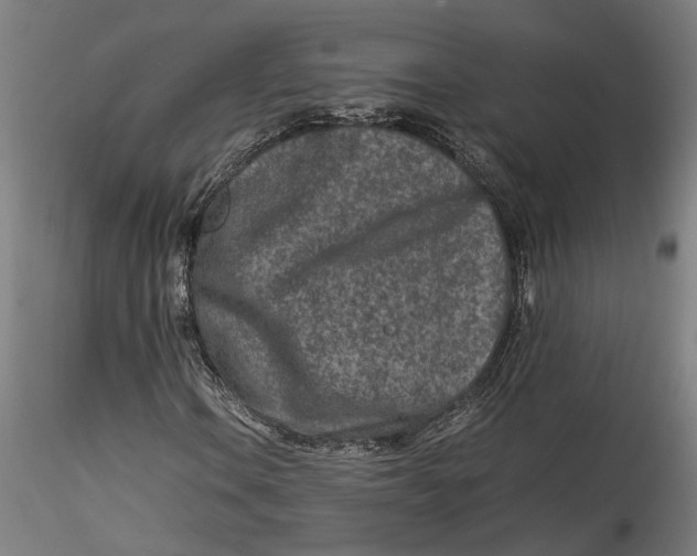 X0000115541106200911271403