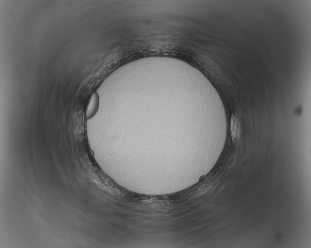 X0000115541107200911271403