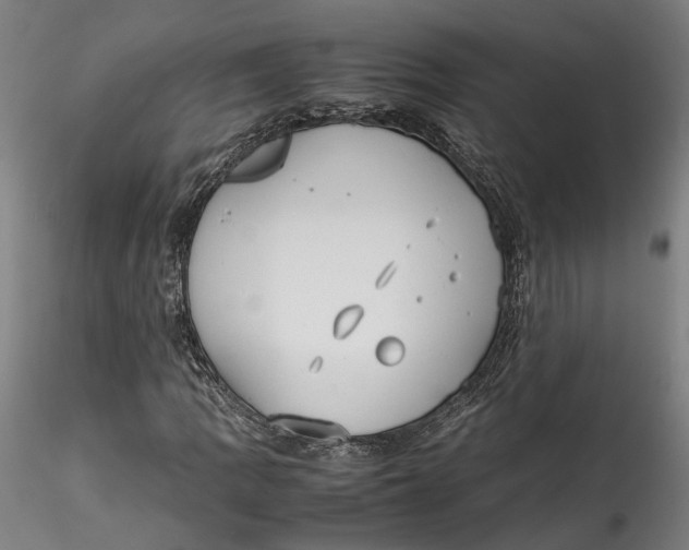 X0000115541109200911271403