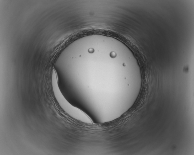 X0000115541110200911271404