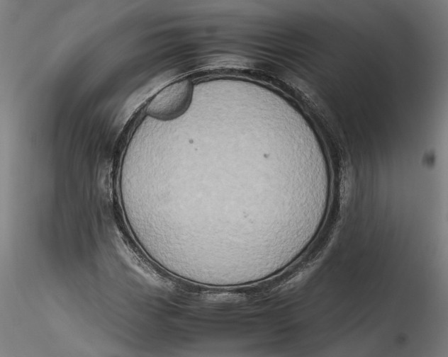 X0000115541113200911271404