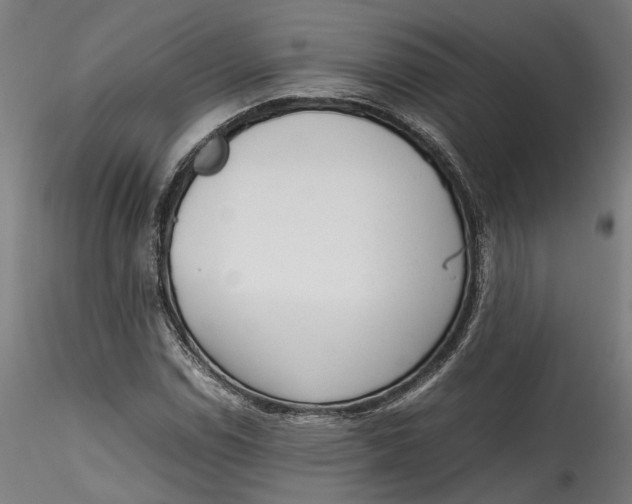 X0000115541114200911271404