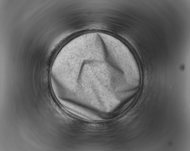 X0000115541115200911271404