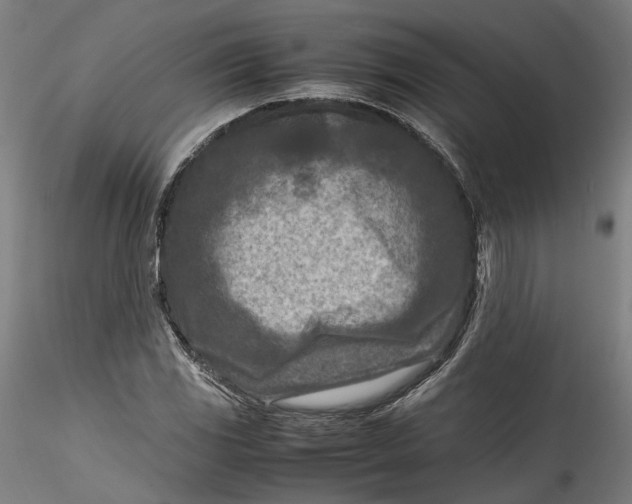 X0000115541117200911271404