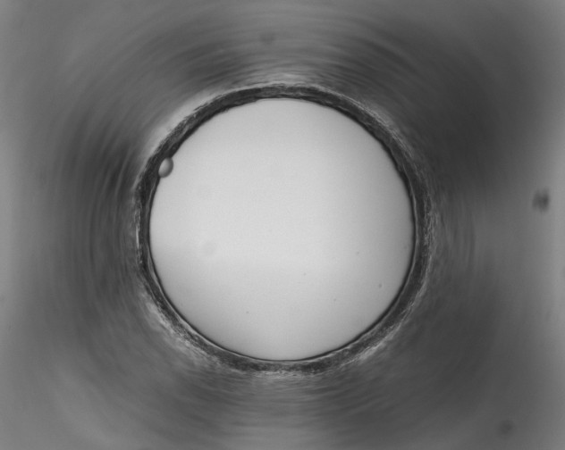 X0000115541118200911271404