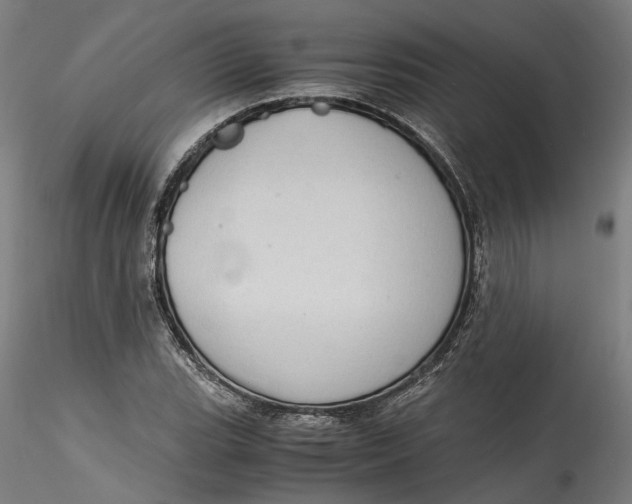 X0000115541119200911271404