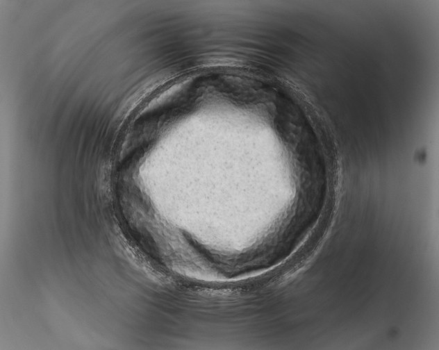 X0000115541121200911271404