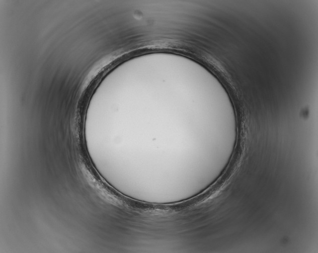 X0000115541122200911271404