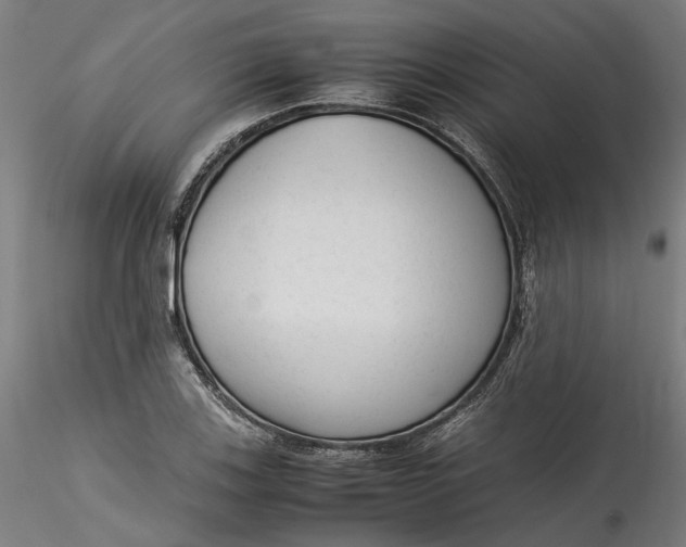 X0000115541123200911271404