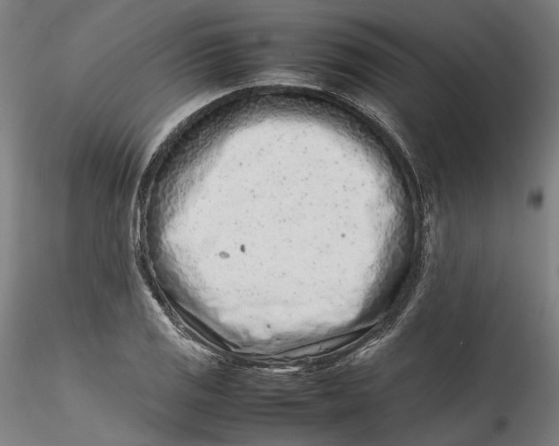 X0000115541125200911271404