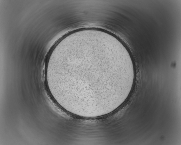 X0000115541126200911271404