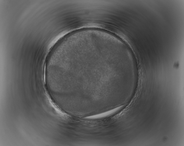 X0000115541127200911271404