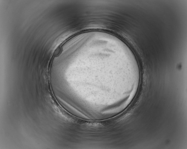 X0000115541129200911271404