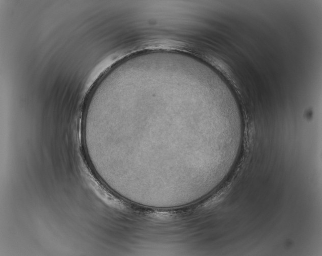 X0000115541130200911271404