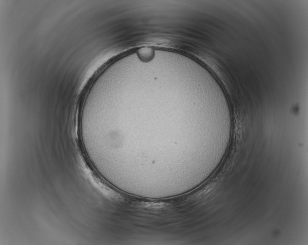 X0000115541131200911271404