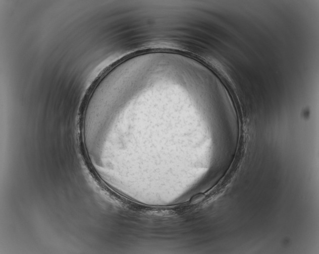 X0000115541133200911271404