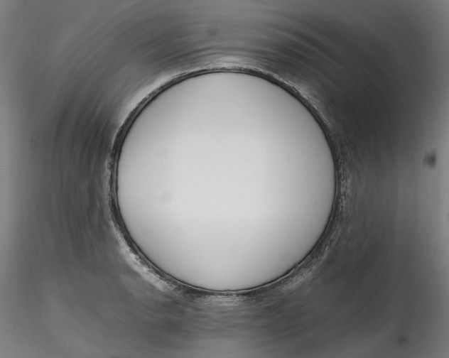 X0000115541134200911271404