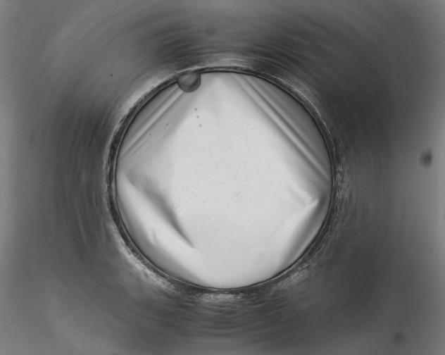 X0000115541135200911271404