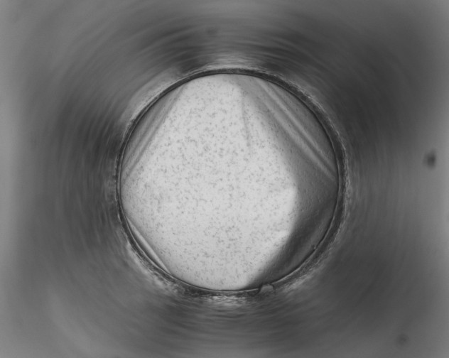 X0000115541137200911271404