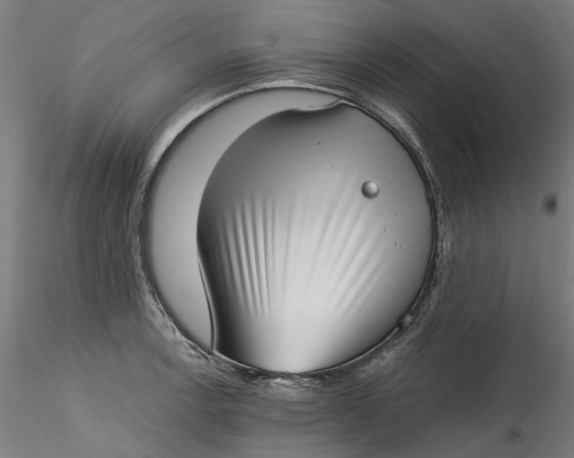 X0000115541138200911271404