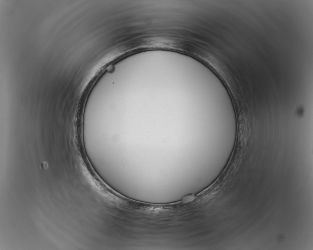 X0000115541139200911271404