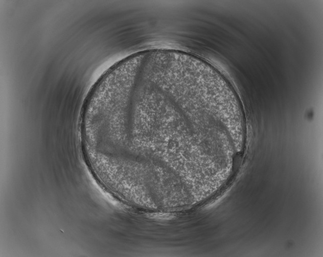 X0000115541141200911271404