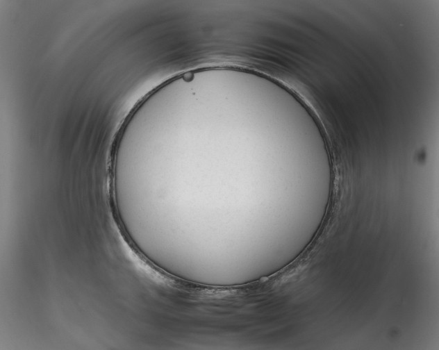 X0000115541143200911271404