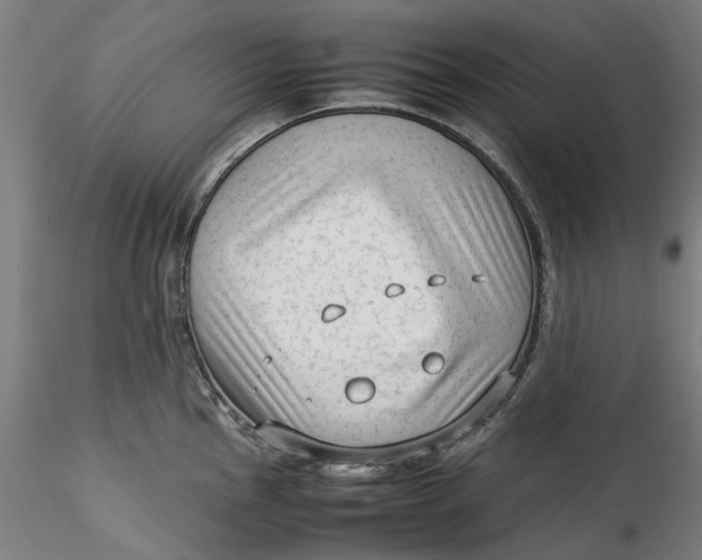 X0000115541145200911271404