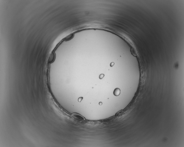 X0000115541146200911271404