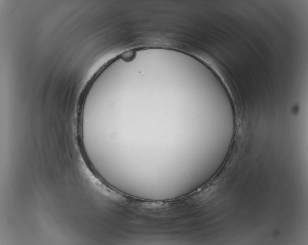 X0000115541147200911271404