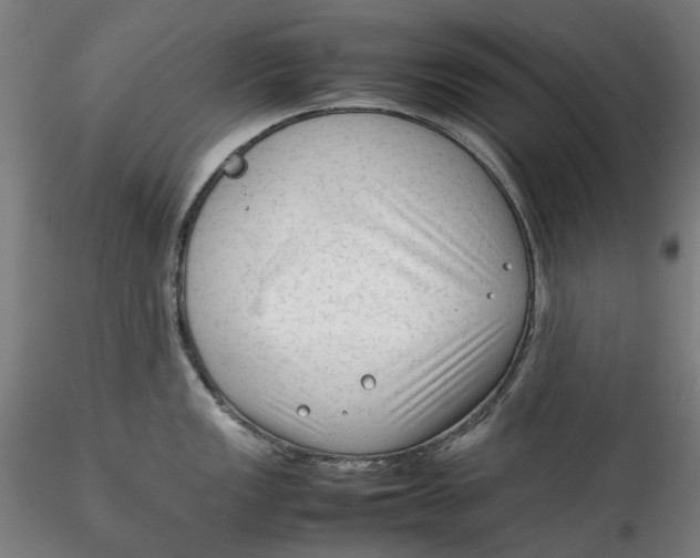 X0000115541149200911271404