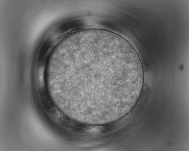 X0000115541150200911271404