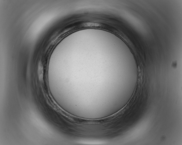 X0000115541151200911271404