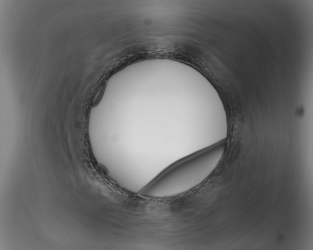 X0000115541153200911271403