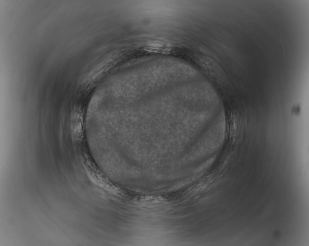 X0000115541154200911271403