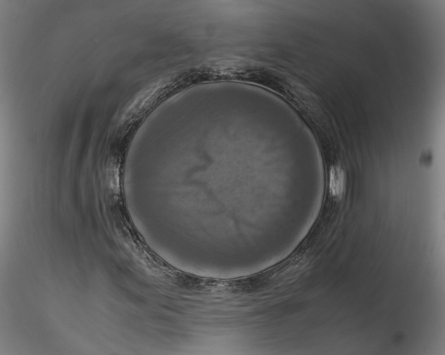 X0000115541155200911271403