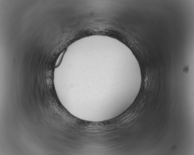 X0000115541156200911271403